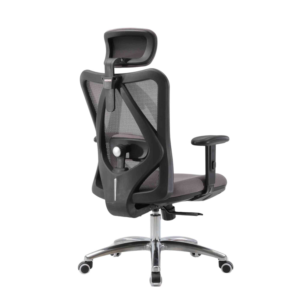 ErgoCore