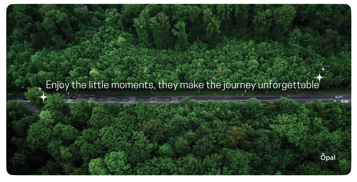 Enjoy the Little Moments DESK PAD 80x40