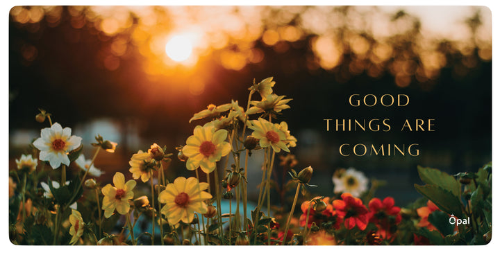 Great Things Are Ahead DESK PAD