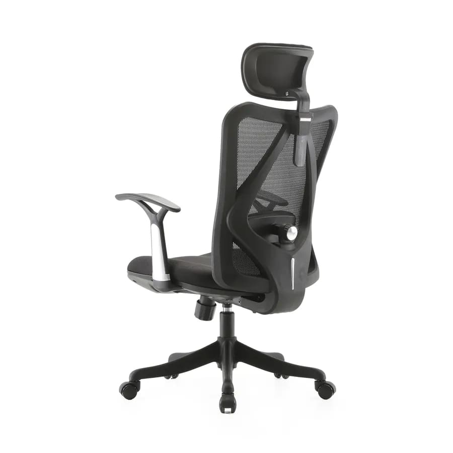 M16 Ergonomic Chair