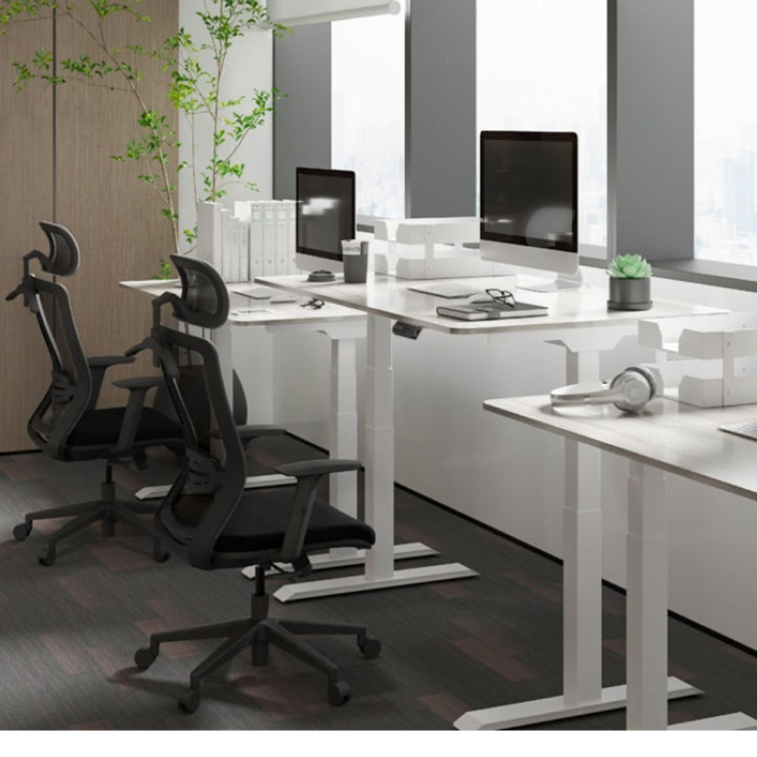 Chaise de bureau FLEXISPOT BS3-B