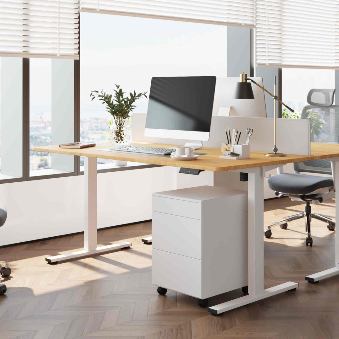 Flexispot EN1 - Opal-mobilier de bureau casablanca