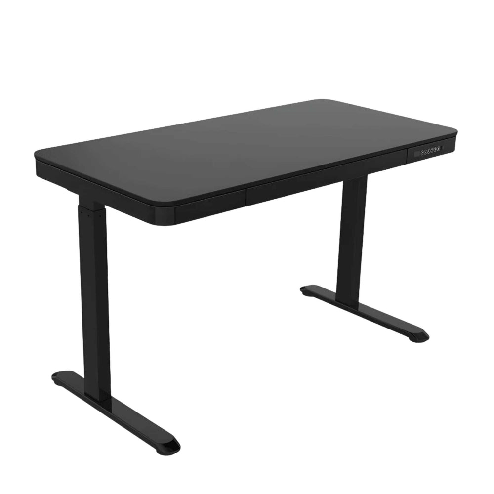 Flexispot EW9 - Opal-mobilier de bureau casablanca