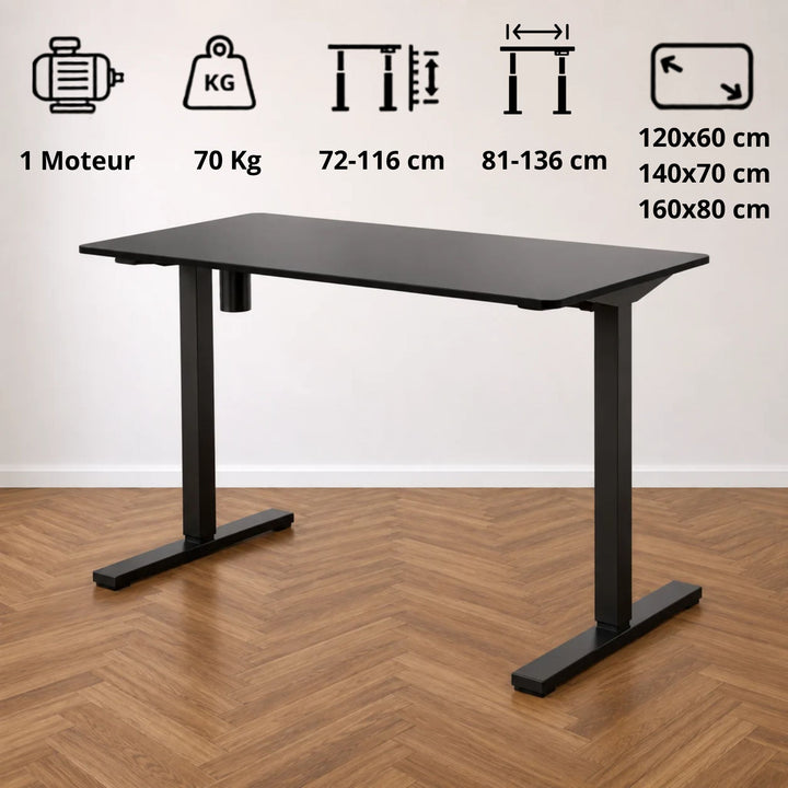 Flexispot EN1