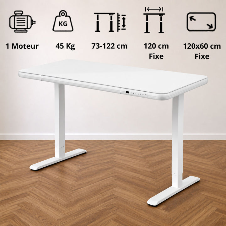 Flexispot Q3G