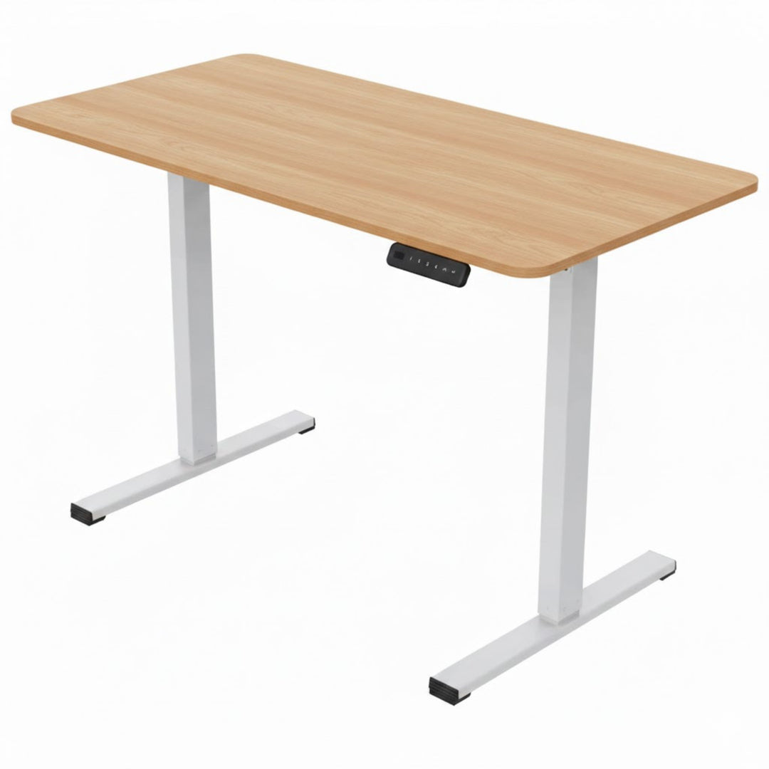 FlexiSpot FQ2 120x60 cm