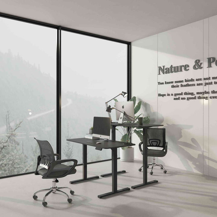 FlexiSpot FQ2 Economical Height Adjustable Desk