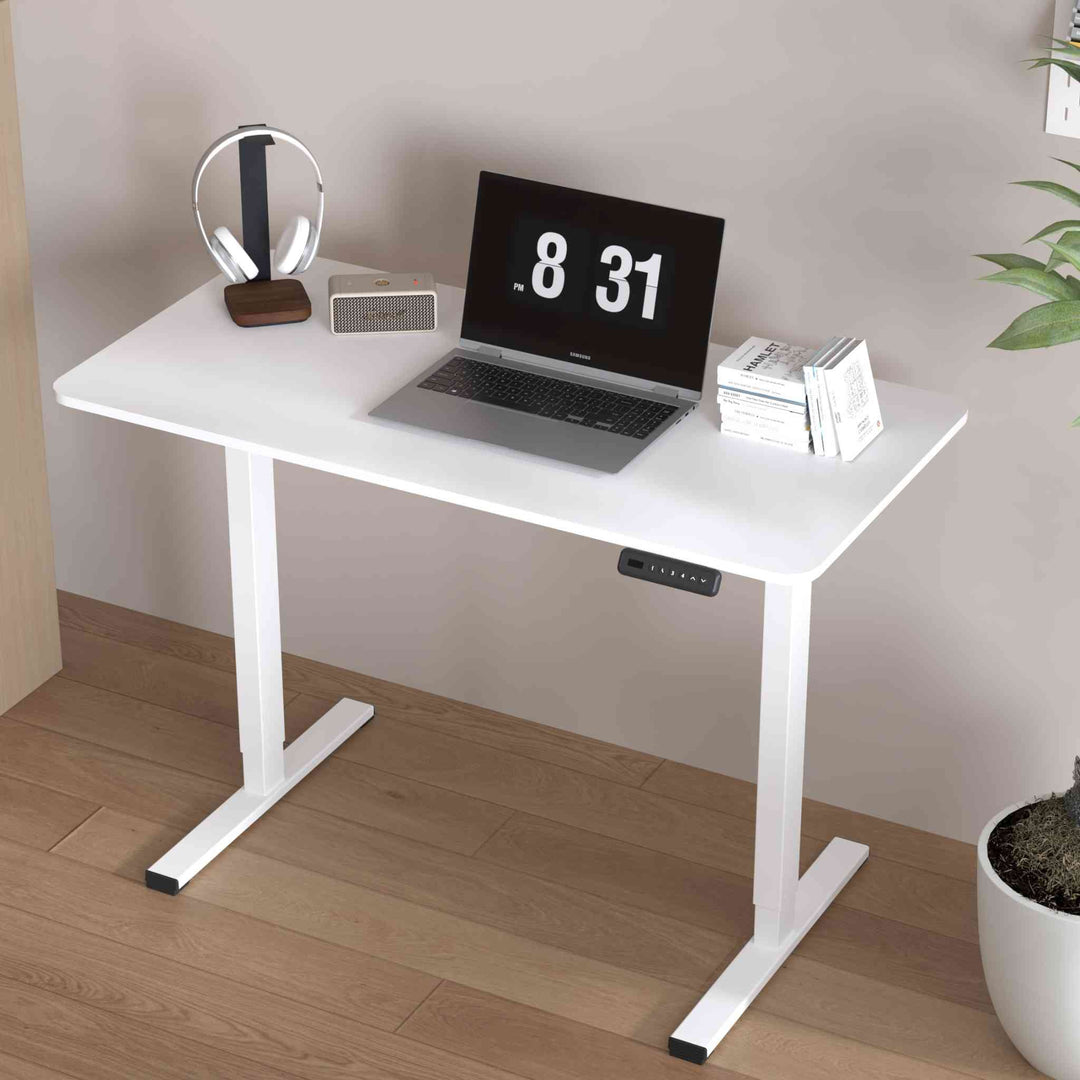 FlexiSpot FQ2 Economical Height Adjustable Desk